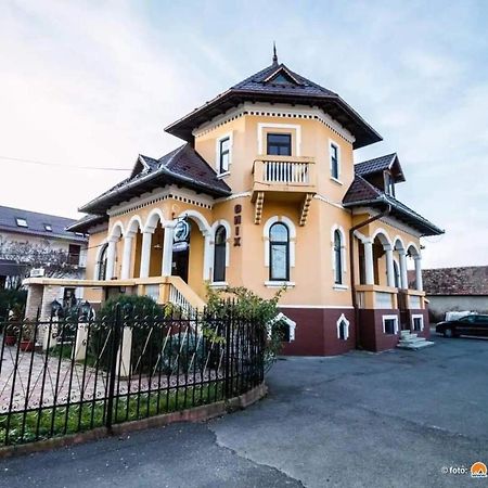 Pensiunea Onix Făgăraş Exteriér fotografie