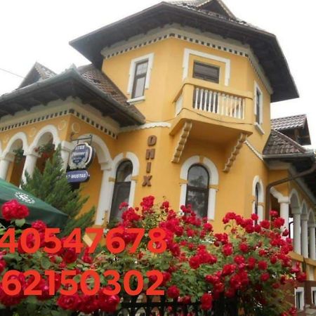 Pensiunea Onix Făgăraş Exteriér fotografie