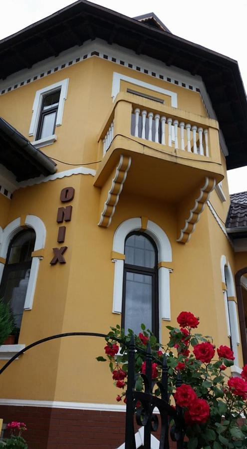 Pensiunea Onix Făgăraş Exteriér fotografie