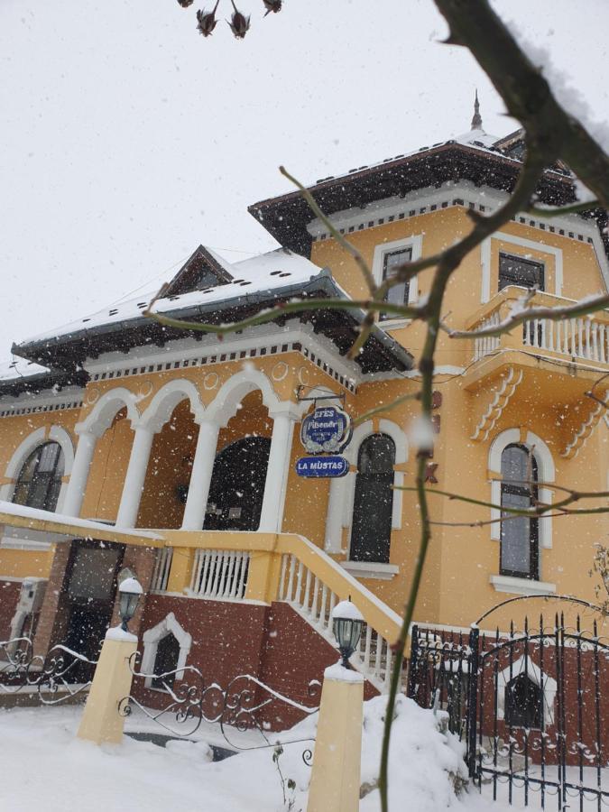 Pensiunea Onix Făgăraş Exteriér fotografie