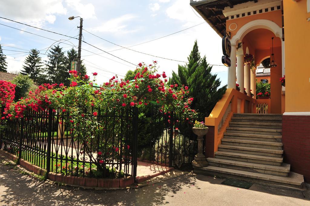 Pensiunea Onix Făgăraş Exteriér fotografie