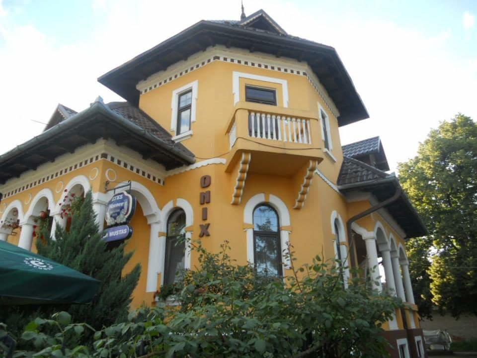 Pensiunea Onix Făgăraş Exteriér fotografie