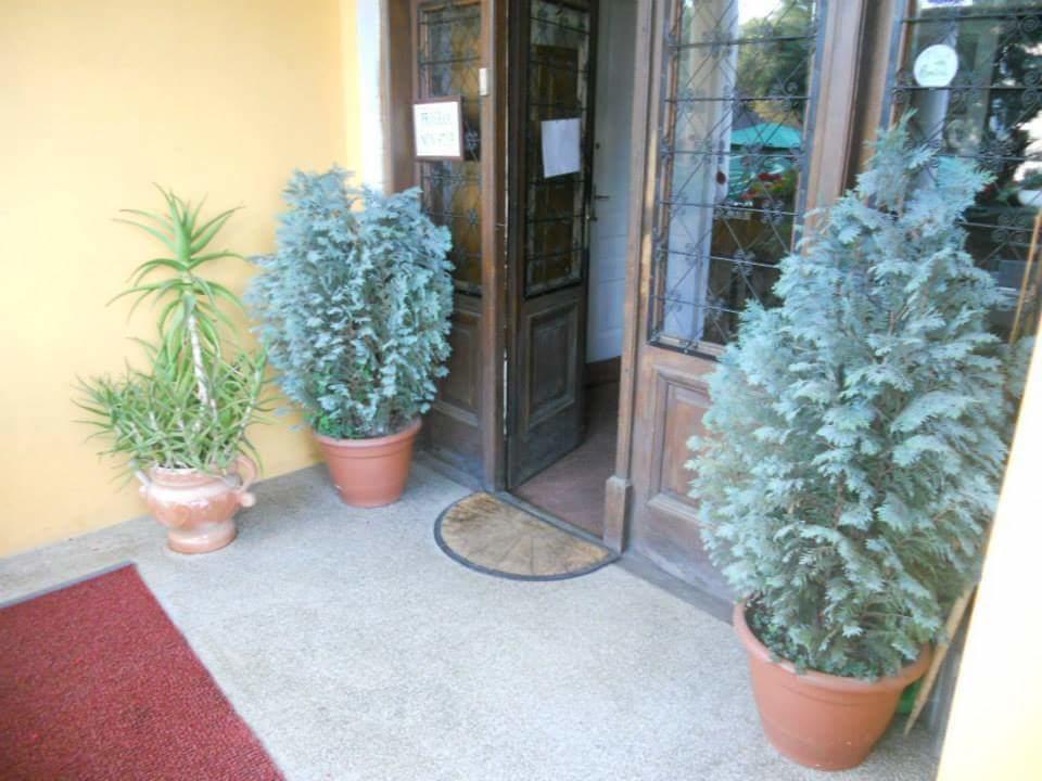 Pensiunea Onix Făgăraş Exteriér fotografie