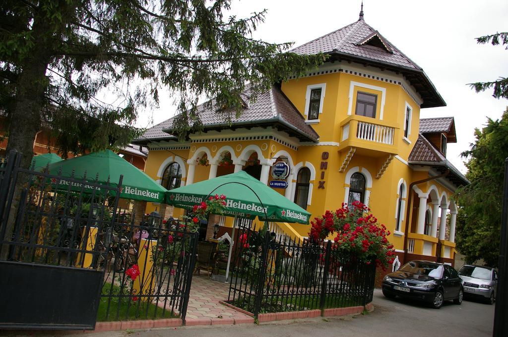 Pensiunea Onix Făgăraş Exteriér fotografie