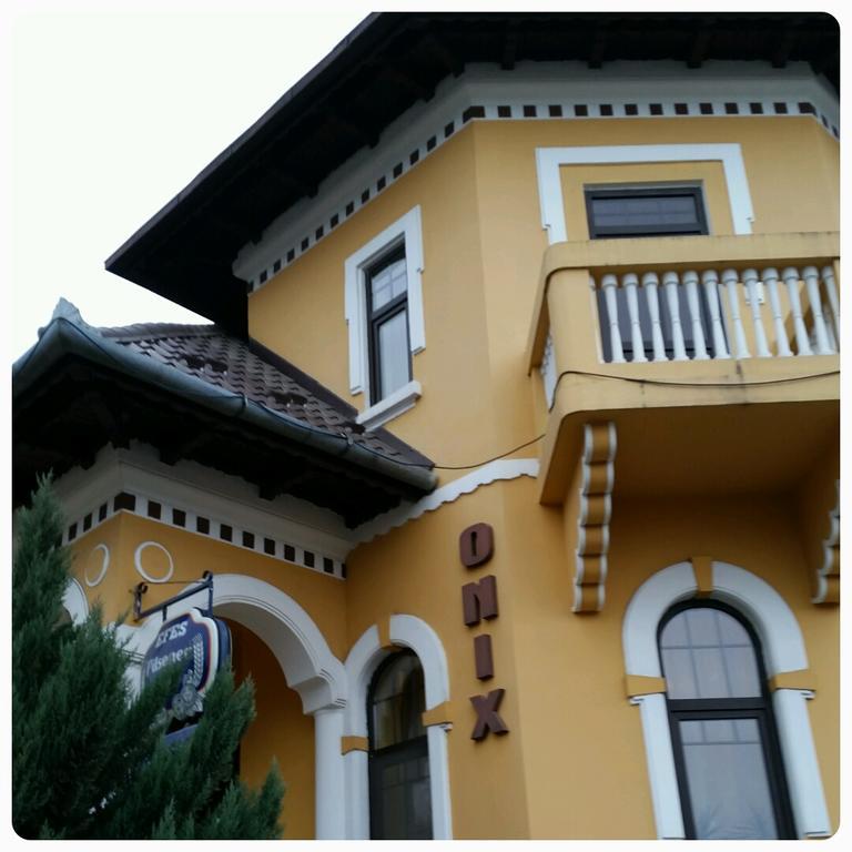 Pensiunea Onix Făgăraş Exteriér fotografie