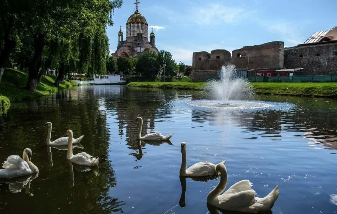 Pensiunea Onix Făgăraş Exteriér fotografie