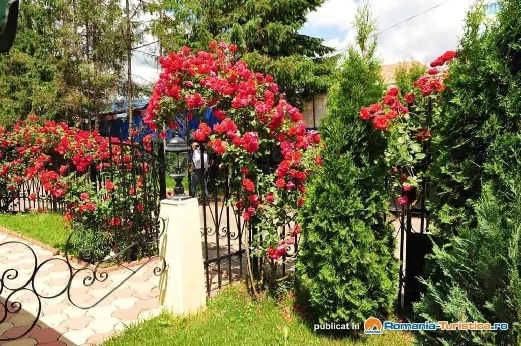 Pensiunea Onix Făgăraş Exteriér fotografie
