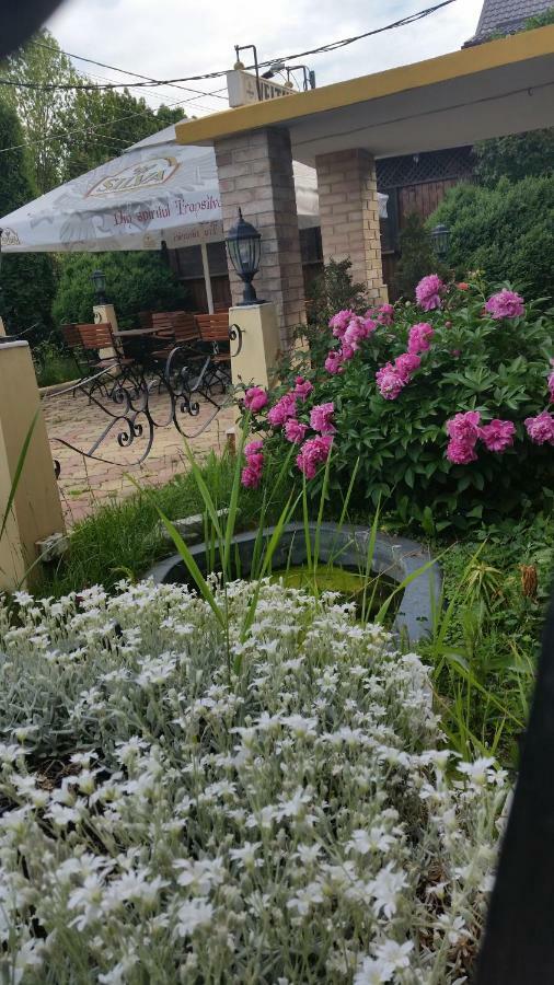 Pensiunea Onix Făgăraş Exteriér fotografie