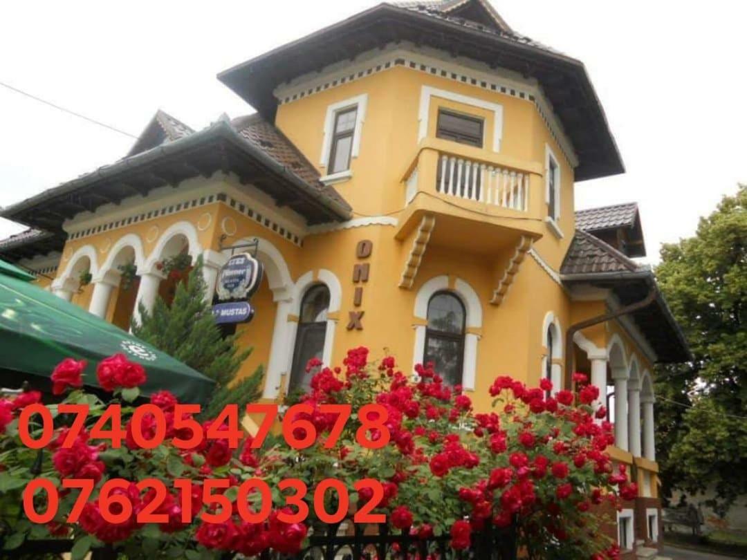 Pensiunea Onix Făgăraş Exteriér fotografie
