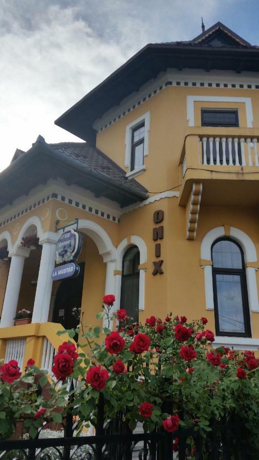 Pensiunea Onix Făgăraş Exteriér fotografie