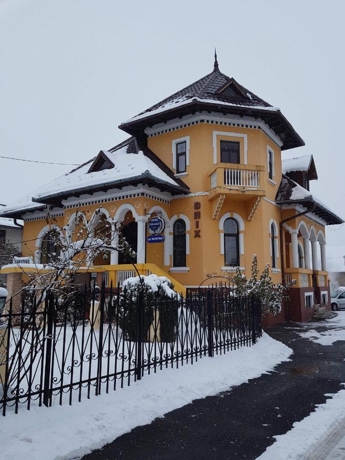 Pensiunea Onix Făgăraş Exteriér fotografie
